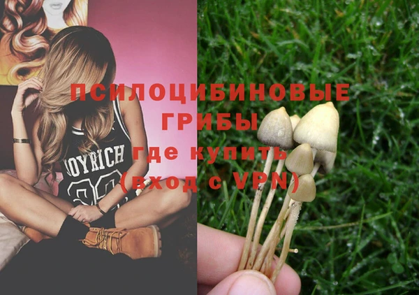 эйфоретик Аркадак